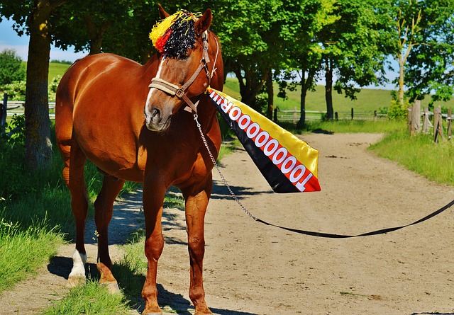 今的职业生 今的职业生