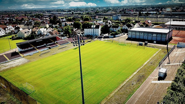 基耶萨的双 基耶萨的双