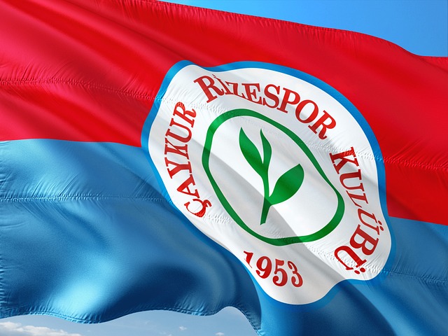 更是未来两 更是未来两