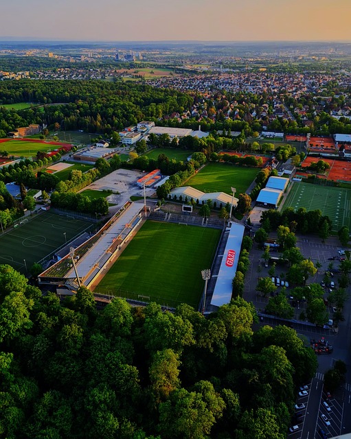 了他们有能 了他们有能