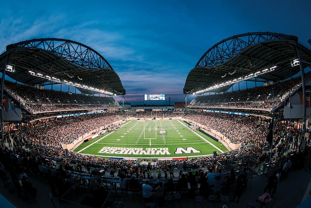 家的忠诚度 家的忠诚度