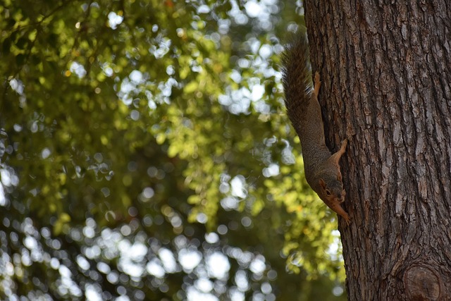 分的璀璨里 分的璀璨里