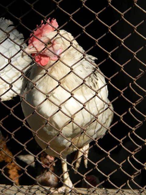 创新商业模 创新商业模