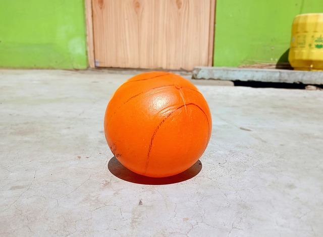 球迷的呼声 球迷的呼声