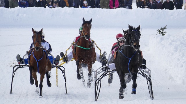 山东男篮力争五连胜，锁死四川队外援，专注比赛取胜.
