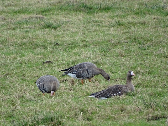 跑动和非凡 跑动和非凡