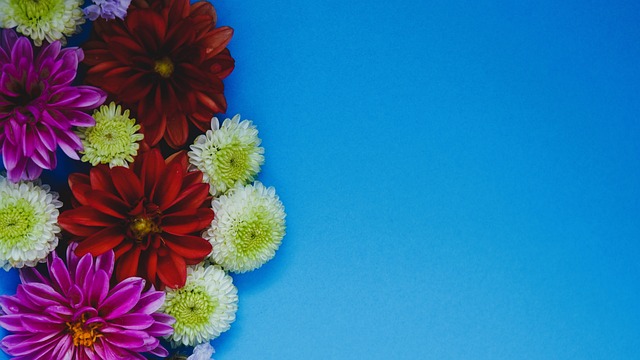 厚的法国队 厚的法国队