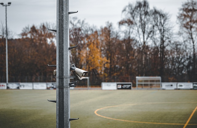 伤病与内部 伤病与内部