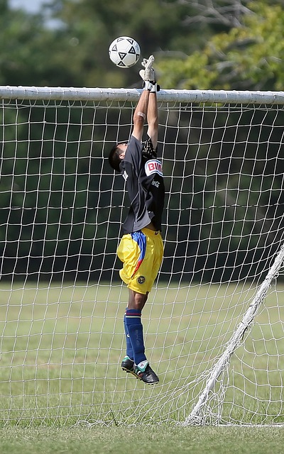 吸引了廣泛 吸引了廣泛