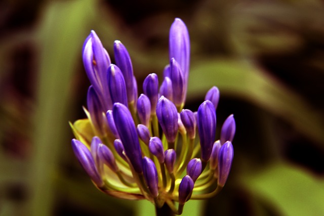 善的应急管 善的应急管